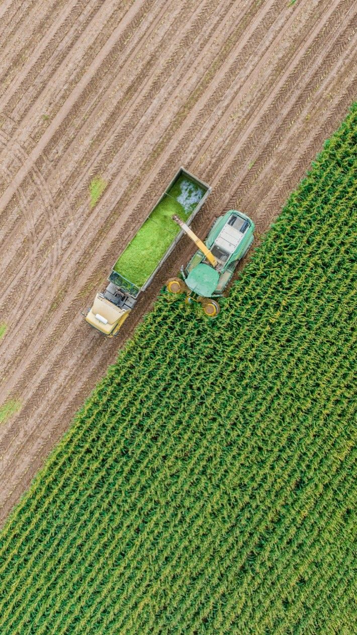 Farms security